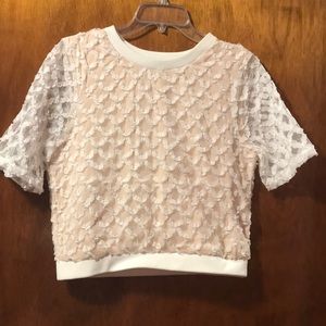 White chiffon with a nice nude lining